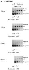 FIG. 6