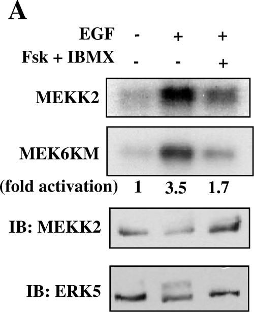 FIG.4.