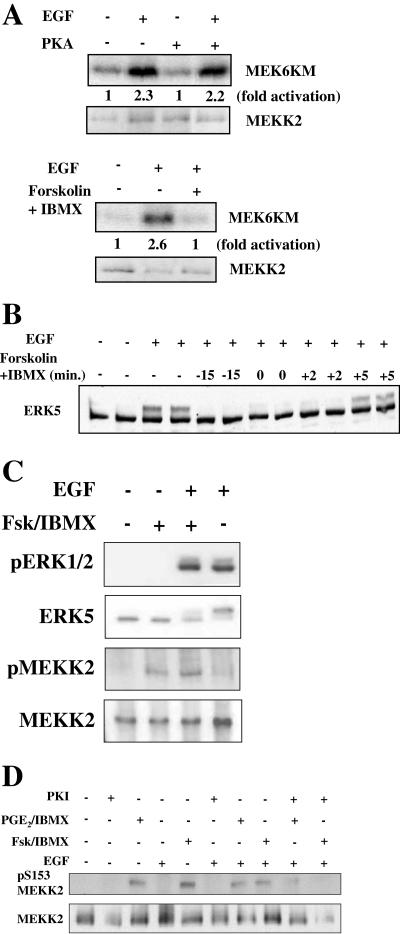 FIG. 8.