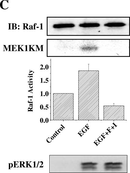 FIG.4.