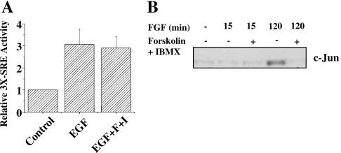 FIG. 9.