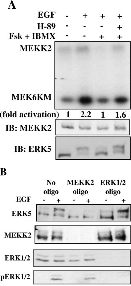 FIG. 5.