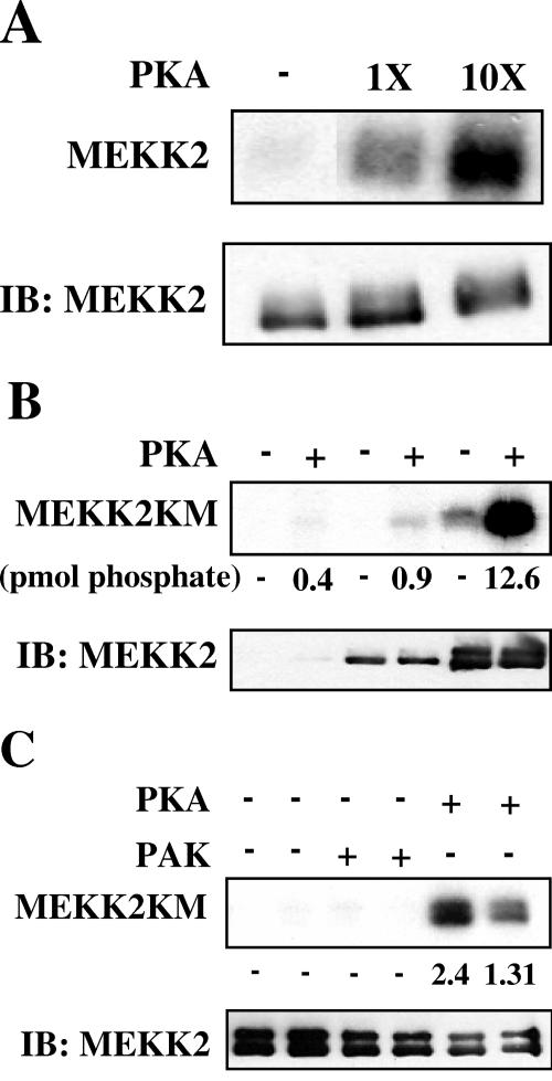 FIG. 6.