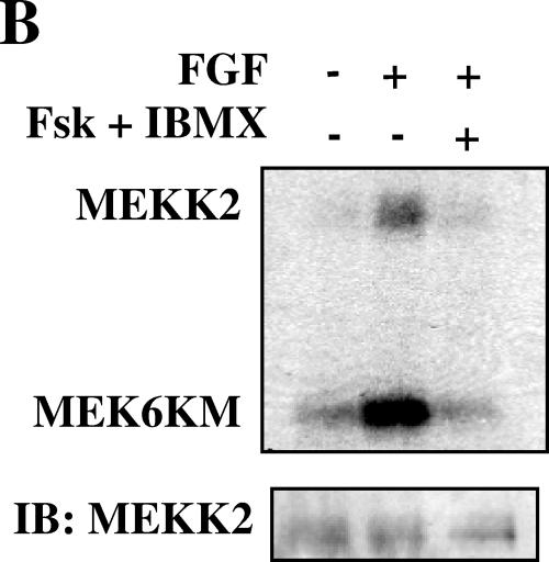 FIG.4.