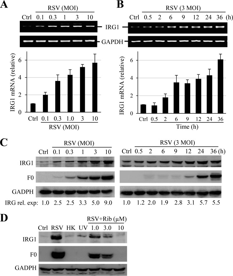 FIG 1