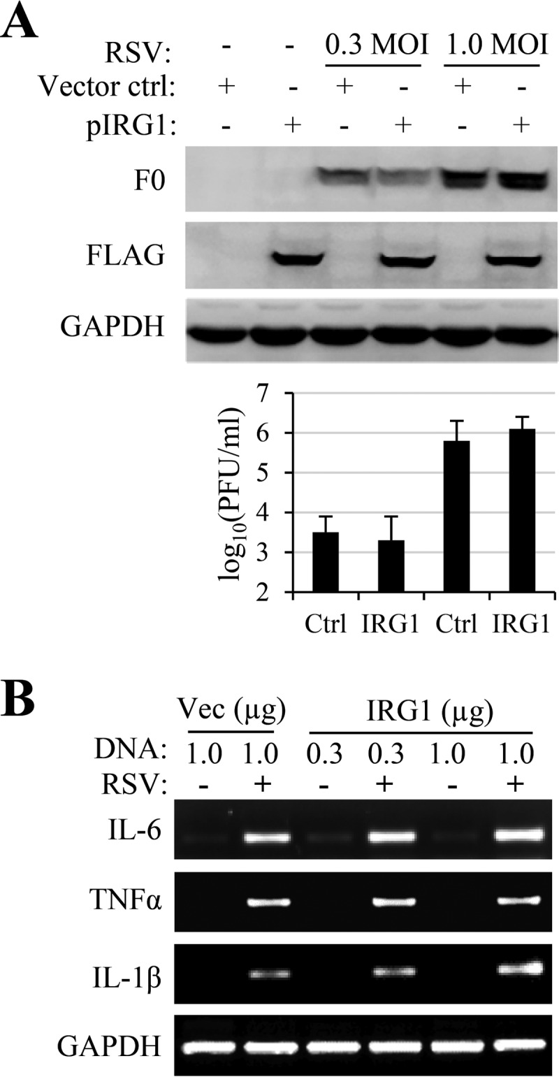 FIG 2