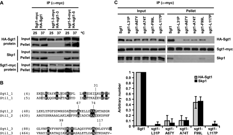 FIGURE 4.