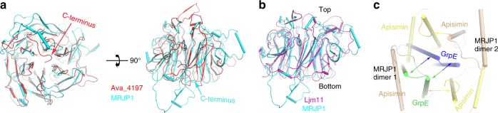 Fig. 3