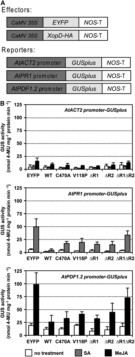 Figure 6.