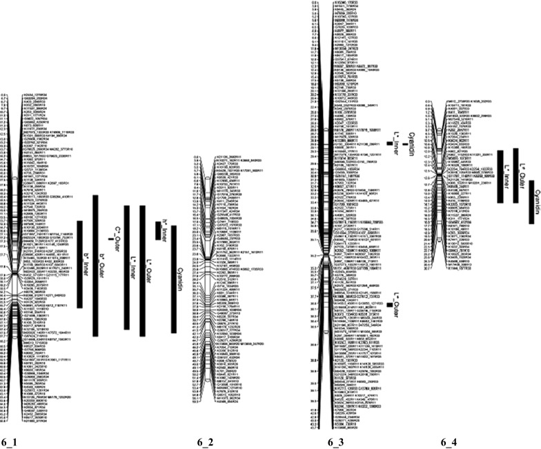 Fig. 2