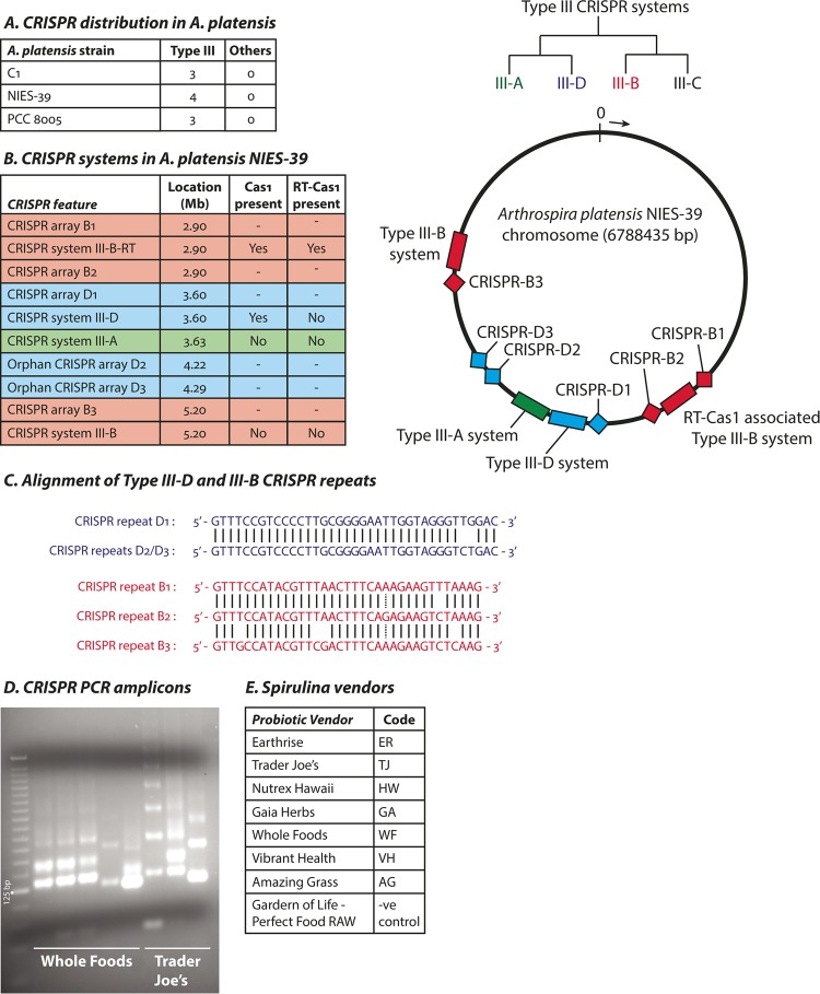 FIG 3 