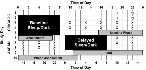 Fig 1