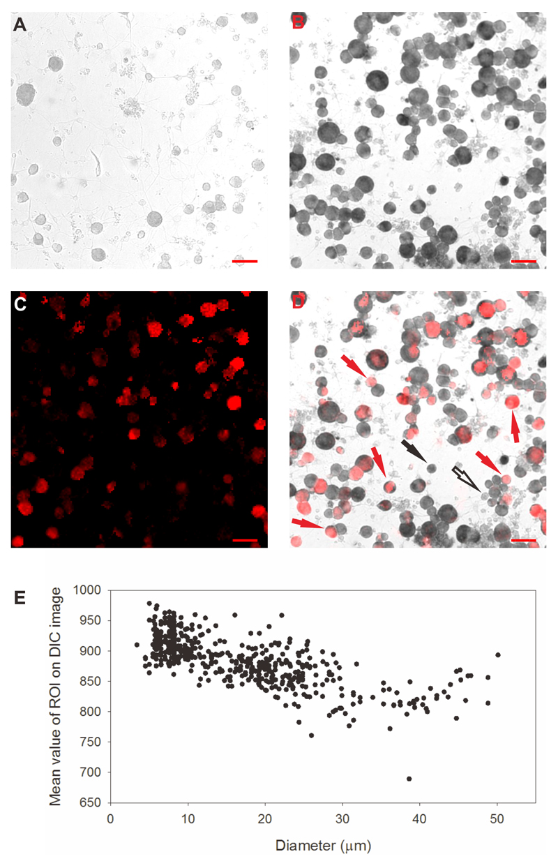 Extended Data Fig. 9