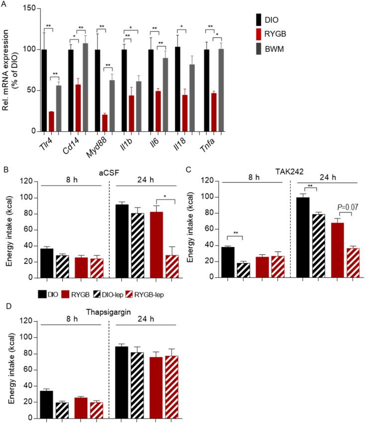 Figure 3