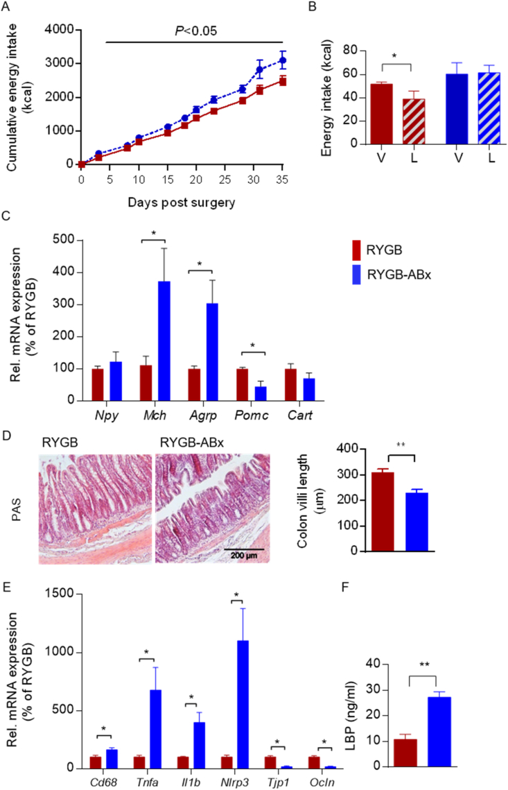 Figure 6