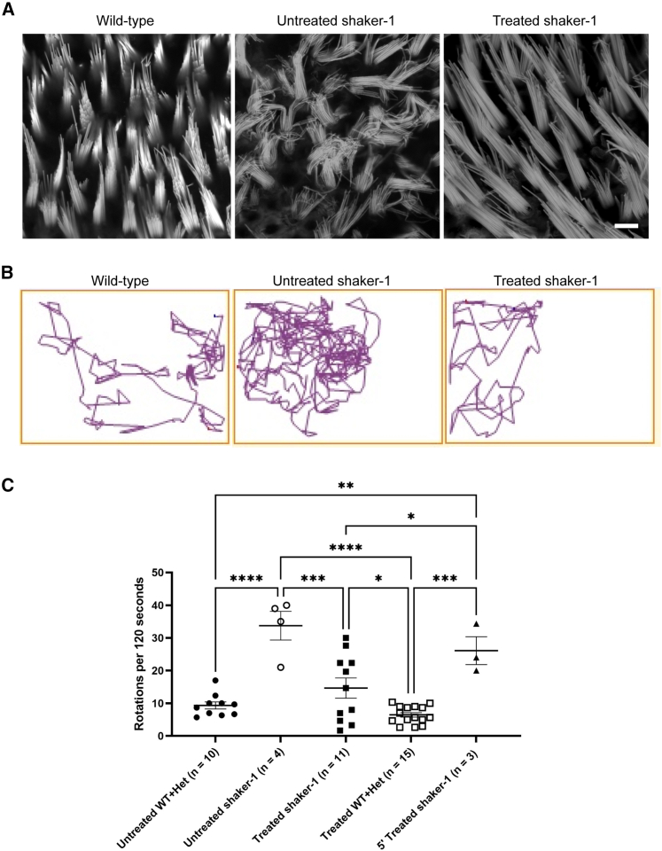 Figure 4