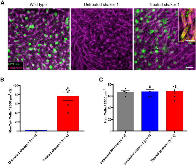 Figure 3