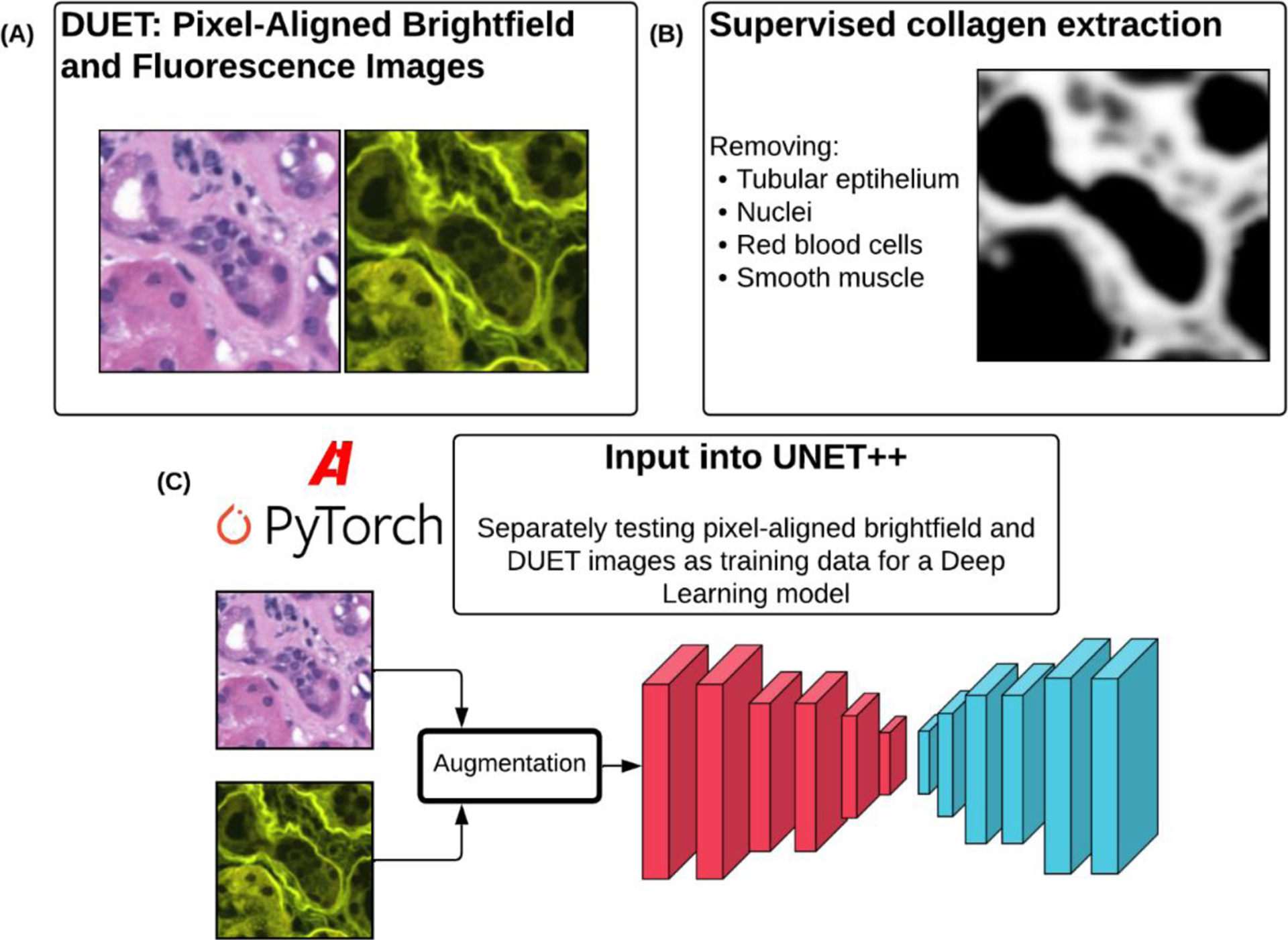 Figure 1: