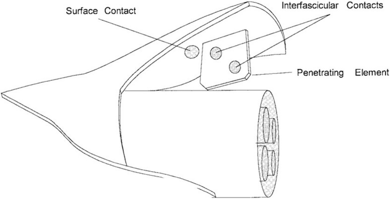 Fig. 5