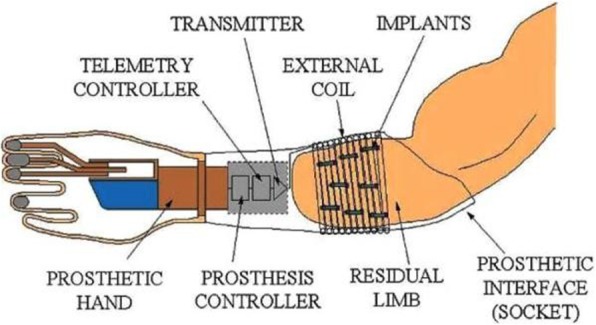 Fig. 8