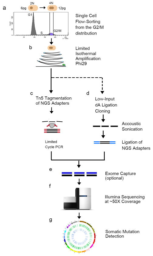 Extended Data Figure 1