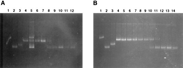 FIG. 5