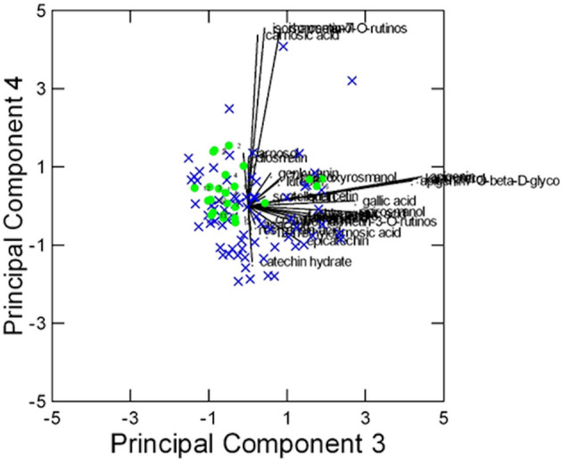 Figure 5