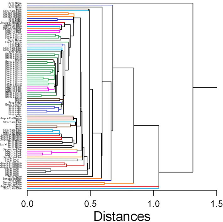 Figure 3