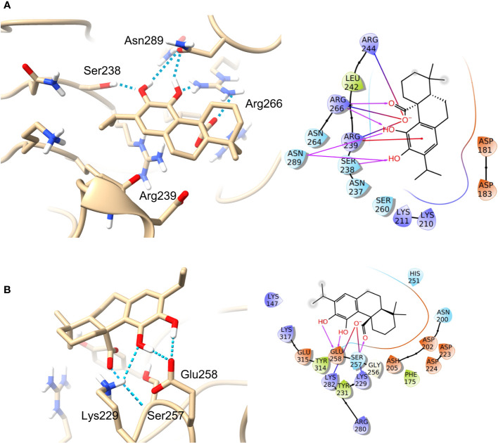 Figure 6