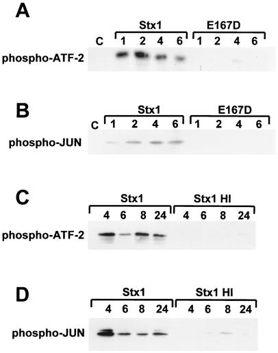 FIG. 4.