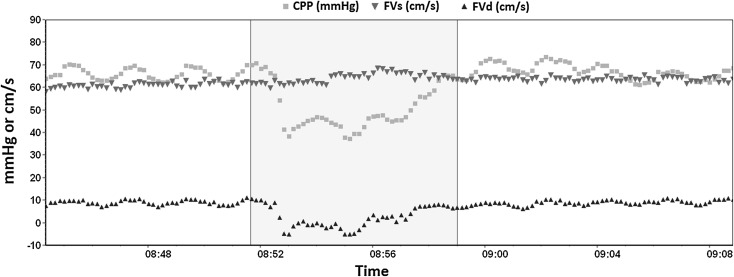 Fig. 3