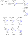 Scheme 65