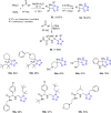 Scheme 16