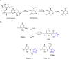 Scheme 71