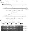 Figure  2