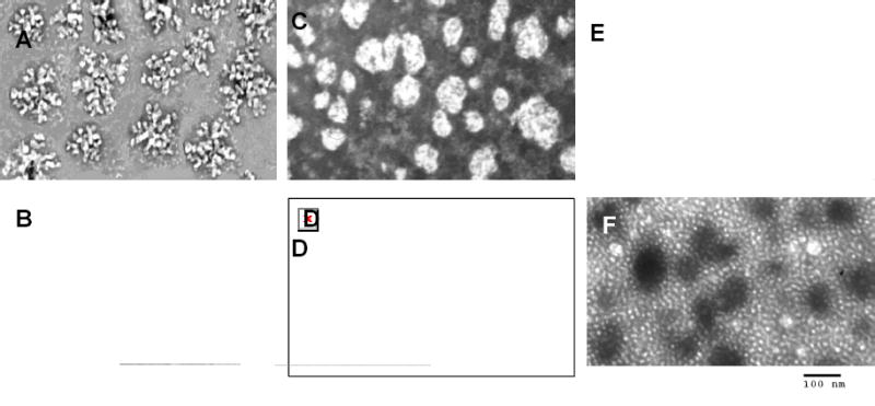 Fig. (2)