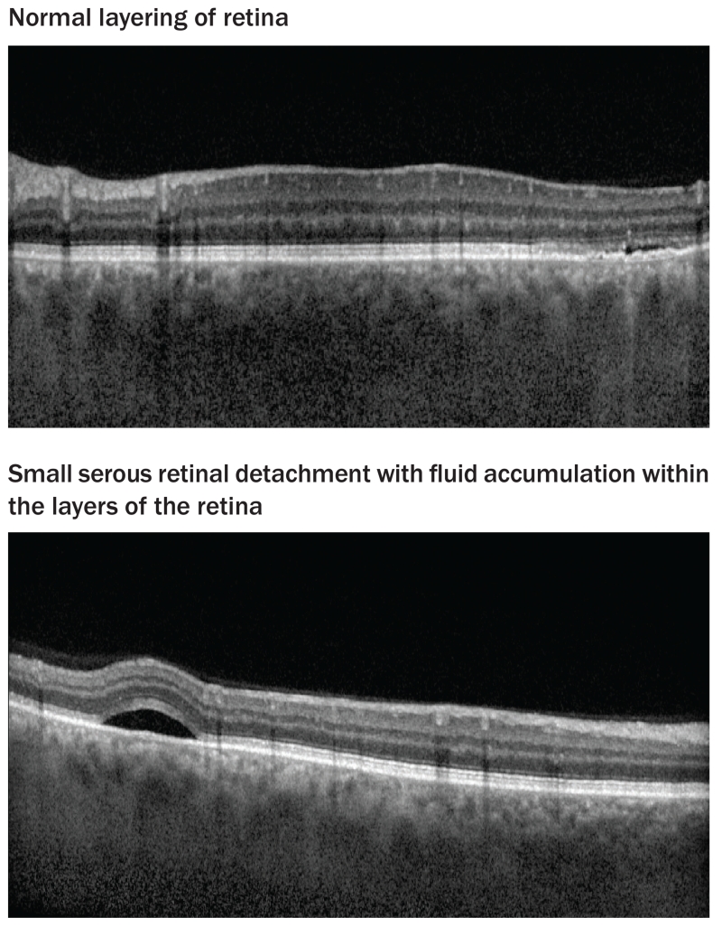 FIGURE 2