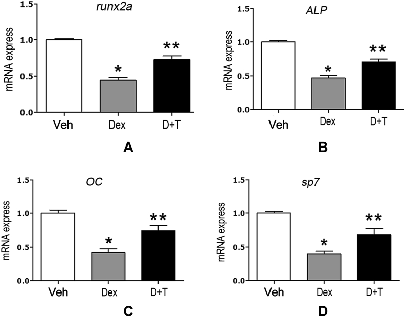 Figure 6