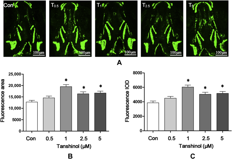 Figure 4