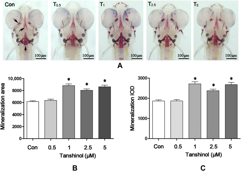 Figure 2