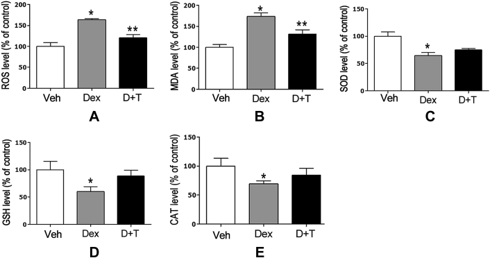 Figure 7