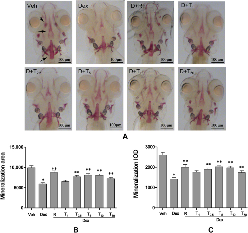 Figure 3