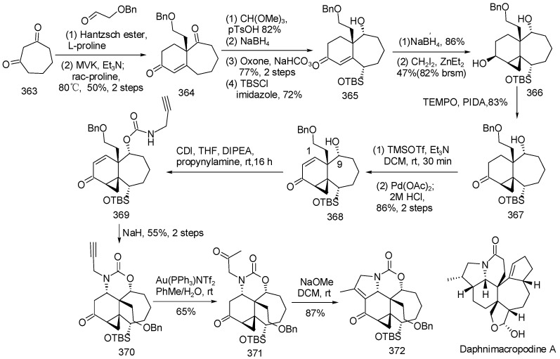 Scheme 26