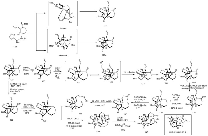 Scheme 6