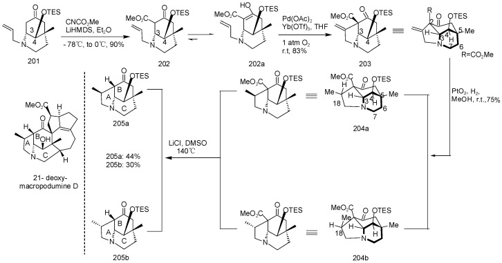 Scheme 12