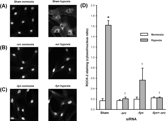 Figure 5