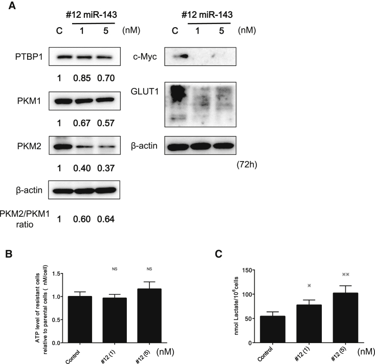 Figure 3