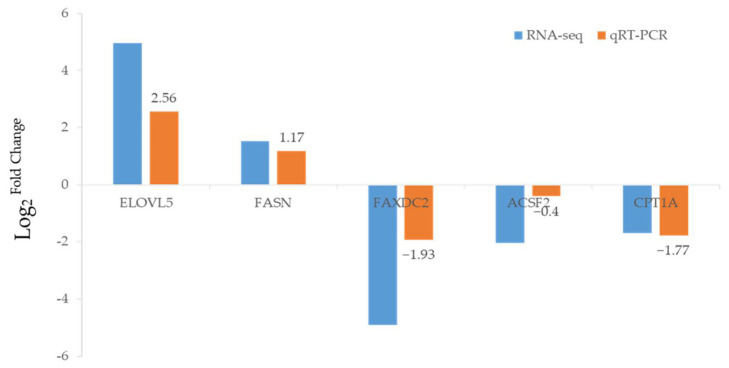 Figure 5