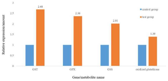 Figure 7