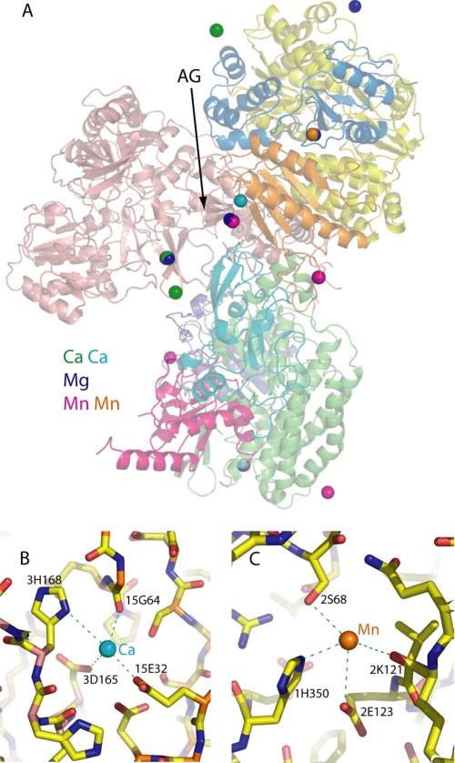 FIGURE 4.